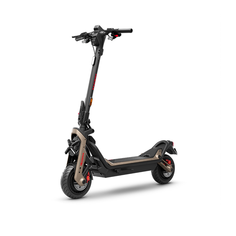 Segway eKickScooter Ninebot Zing E10